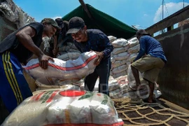 Indonesia will not import rice for either consumption or industrial use next year. (Photo: tempo.co)