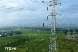 Indonesia targets an additional electricity capacity of more than 2,000 MW by the end of 2025. (Photo: VNA)