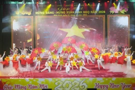The festive atmosphere welcoming the Year of the Horse 2026 fills communities across the country. (Photo: VNA)