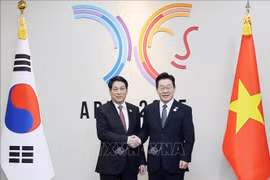 Vietnamese State President Luong Cuong (left) and Korean President Lee Jae Myung (Photo: VNA)