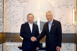 General Secretary of the Communist Party of Vietnam Central Committee and State President To Lam (left) and Lee Hsien Loong, Senior Minister, senior advisor to the People's Action Party, and former Prime Minister of Singapore. (Photo: VNA)