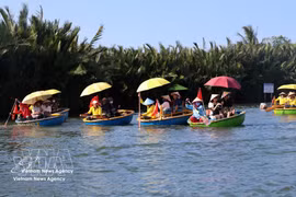 Beyond the bustling streets of Hoi An, the waterways of Cam Thanh Nipa Palm Village offer a slower rhythm of life, where basket boats glide beneath dense green palms and the sounds of river culture still echo through the breeze. (Photo: VNA)