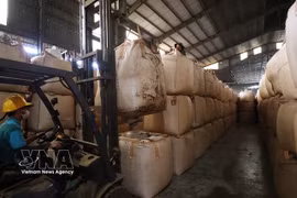 Coffee beans stockpiled at a warehouse in Gia Lai province (Photo: VNA)