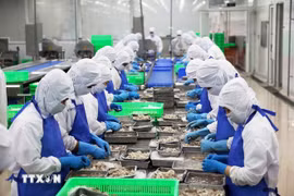 An export shrimp processing line in Ho Chi Minh City (Photo: VNA)