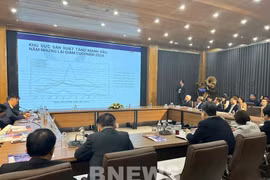 An overview of the dialogue. (Photo: VNA)