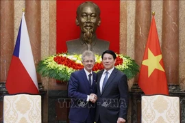 Vietnamese State President Luong Cuong (right) and Czech Republic's Senate President Milos Vystrcil (Photo: VNA)