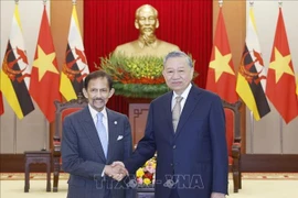 Party General Secretary To Lam (right) meets Sultan of Brunei Haji Hassanal Bolkiah in Hanoi on November 30, 2025. (Photo: VNA)