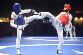 Nguyen Hong Trong (right) clinches the second gold medal for Vietnamese taekwondo. (Photo: VNA)