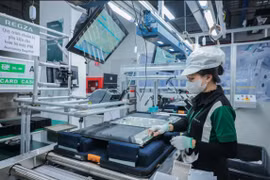 At Regza Vietnam Electronics Co., Ltd. in Dong Nai province. (Photo: VNA)