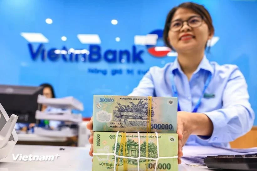 In 2024, Vietnam banks see profit increases. (Photo: VietnamPlus)