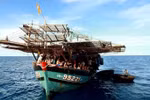 Da Nang strengthens compliance with IUU fishing regulations