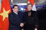 Vietnamese PM holds talks with Swiss President in Davos