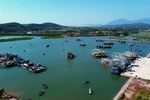 Quang Ninh determined to remove IUU “yellow card”