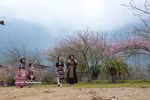 Peach blossoms light up Sin Suoi Ho tourism village