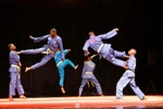 NA Chairman attends Vovinam performance in Senegal