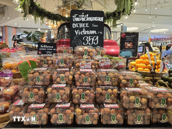Vietnamese lychee is sold at a supermarket in Thailand. (Photo: VNA) vai-thieu-viet-nam-2093.jpg