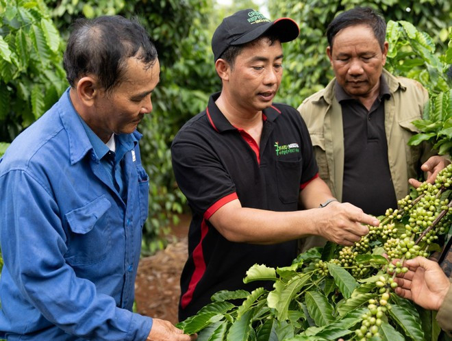 ESG practices help businesses reduce operating costs, improve resource efficiency, access preferential capital from green financial institutions and strengthen brand position (Photo: VNA) thuc-hanh-esg.jpg
