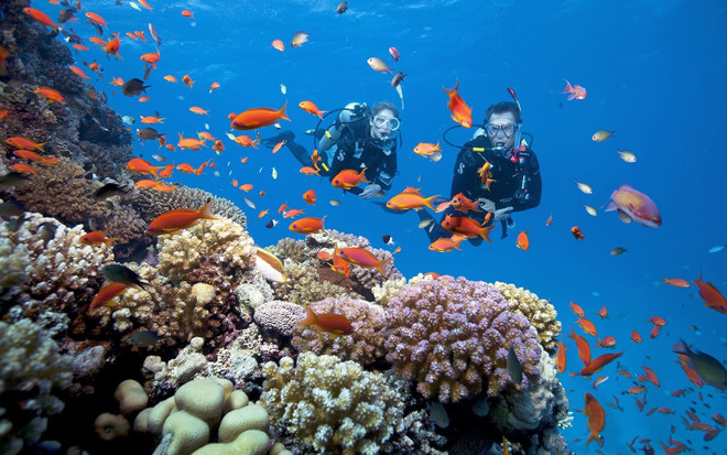 Scuba diving in Phu Quoc (Photo: Sun Group) lan-bien-phu-quoc.jpg