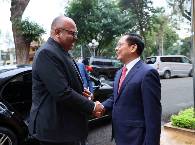 Deputy Prime Minister and Minister of Foreign Affairs Bui Thanh Son (R) and Tanzanian Minister of Foreign Affairs and East African Cooperation Mahmoud Thabit Kombo (Photo: VNA) so.jpg