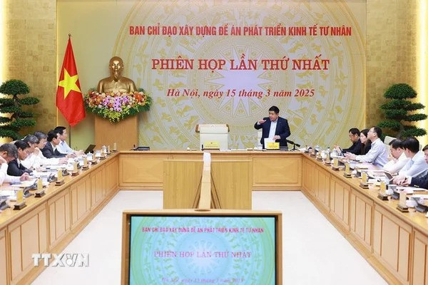 Deputy PM Nguyen Chi Dung chairs the first meeting of the Steering Committee on private sector development scheme (Photo: VNA) du.jpg