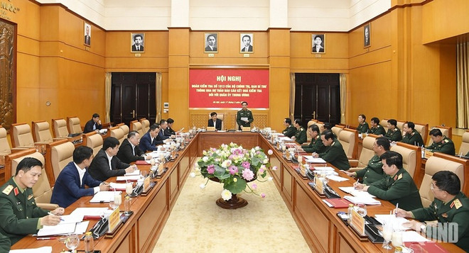 At the conference (Photo: VNA) mi.jpg