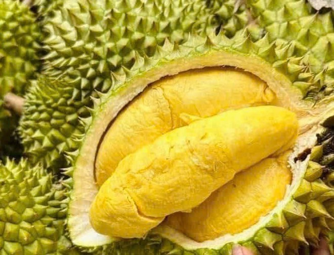 durian2.jpg