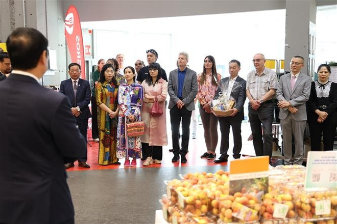Representatives of import-export enterprises and customers attend Vietnamese Goods Day