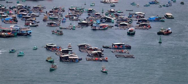 Cage fish farming in Phu Quoc (Photo: VNA) hp.jpg