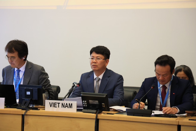 Deputy Minister of Justice Nguyen Thanh Tinh speaks at the United Nations Human Rights Committee session in Switzerland (Photo: VNA) nguyen-thanh-tinh.jpg