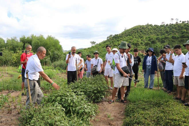 A man introduces tourists to local organically cultivated plants (Photo: VNA) agritourism-vna.jpg
