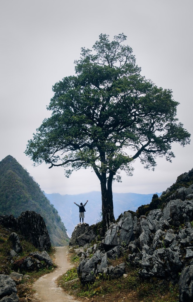 The winding mountain passes of Ha Giang’s rocky plateau offer travellers an emotionally rich experience. (Photo: VietnamPlus) 4.jpg