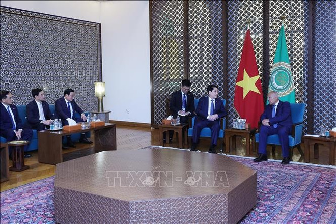 The meeting between Vietnamese President Luong Cuong and Secretary-General of the Arab League Ahmed Aboul Gheit in Cairo on August 4. (Photo: VNA)