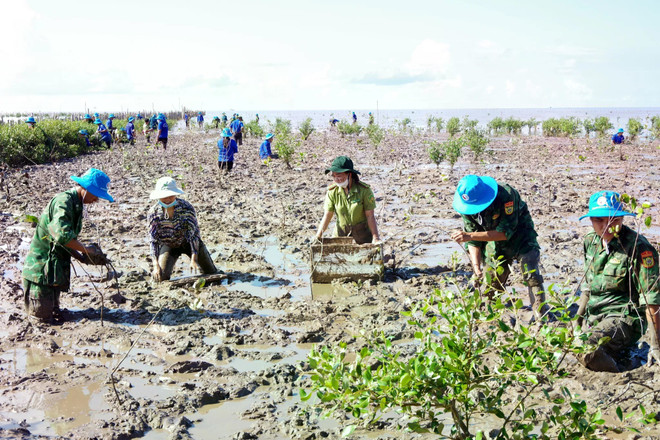 Vietnam strives to gradually reduce and ultimately phase out coal-fired power to realise the Government’s commitment to Net Zero by 2050. In the photo: Planting coastal protection forest in the Mekong Delta in respoonse to the “For a green Vietnam” programme. (Photo: VNA) for-a-green-vietnam.jpg