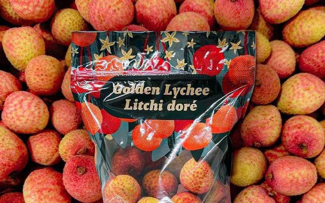 Fresh lychees from Bac Giang povince (now part of Bac Ninh province) on shelves at a Costco store in the US. (Photo courtesy of Consul General in San Francisco Hoang Anh Tuan) lychee.jpg