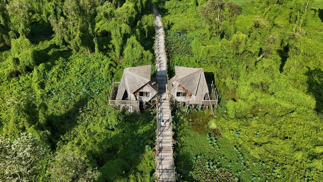 khu-du-lich-rung-tram-tra-su-thi-xa-tinh-bien-tinh-an-giang-diem-den-yeu-thich-cua-khach-du-lich-trong-va-ngoai-nuoc-anh-ttxvn.jpg