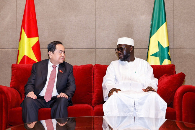 na-leader-senegal-vna-2.jpg