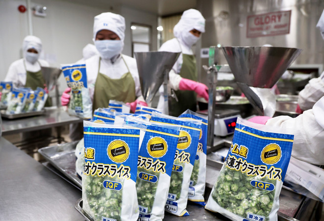Processing vegetables for export to Japan (Photo: VNA) san-pham-rau-cu-che-bien-xuat-khau-di-nhat-ban-anh-ttxvn.jpg