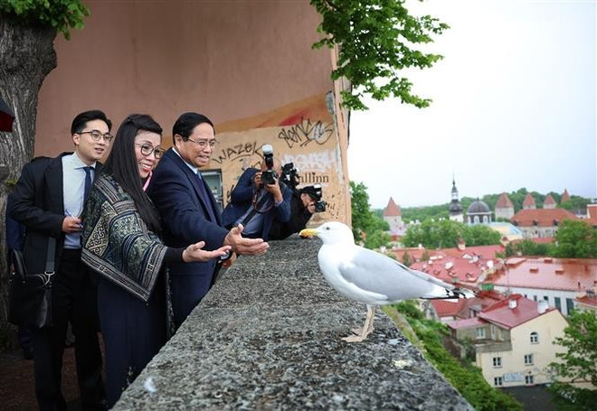 PM Pham Minh Chinh and his spouse in Tallinn Old Town (Photo: VNA) PM Pham Minh Chinh and his spouse in Tallinn Old Town (Photo: VNA)