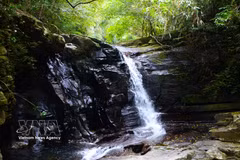 Magnificent beauty of Bach Ma stream and waterfall system