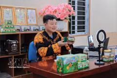 Dao ethnic youth make economic breakthroughs with Mau Son mountain specialties