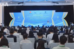 AFF highlights Vietnam’s role in fostering connected, proactive ASEAN: scholar