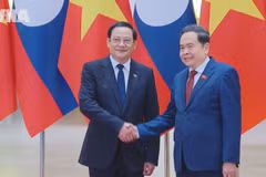 Vietnam, Laos push forward cooperation agreements