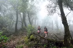 Lai Chau showcases potential for adventure tourism