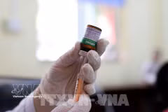 Mastering vaccine technology for stronger disease prevention