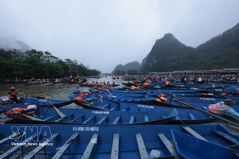 Tens of thousands of boats serve tourists. (Photo: VNA)