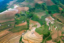 Mu Cang Chai terraced rice fields in the water-pouring season
