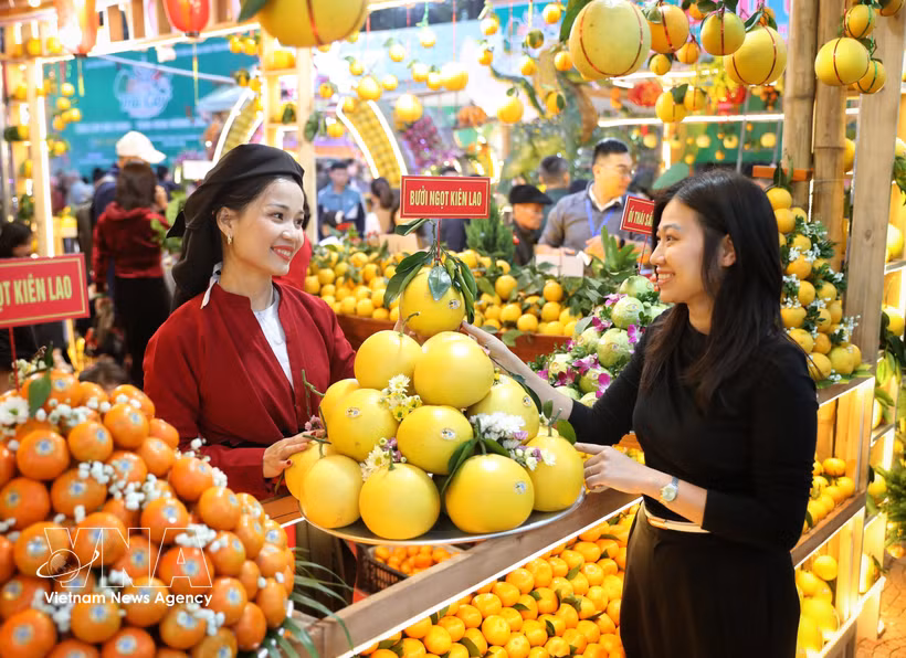 Exports of agricultural, forestry and fishery products are estimated at 62.89 billion USD in the first 10 months of 2026, up 7.8% year-on-year. (Photo: VNA)
