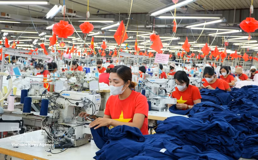In the first eight months of 2026, Vietnam-Belgium trade increases 4.7% year-on-year to 3.1 billion USD. (Illustrative photo: VNA)