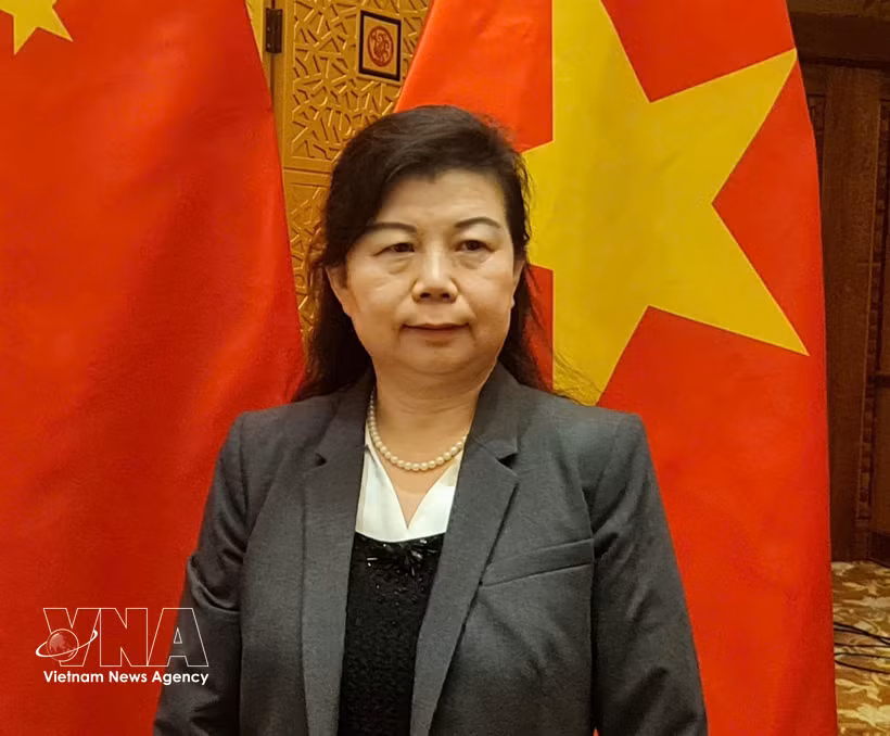 Liu Ying, a research fellow at the Chongyang Institute for Financial Studies, Renmin University of China. (Photo: VNA)