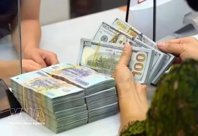 The State Bank of Vietnam (SBV) sets the daily reference exchange rate at 25,631 VND/USD on October 28. (Photo: VNA)